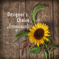 Designer's Choice