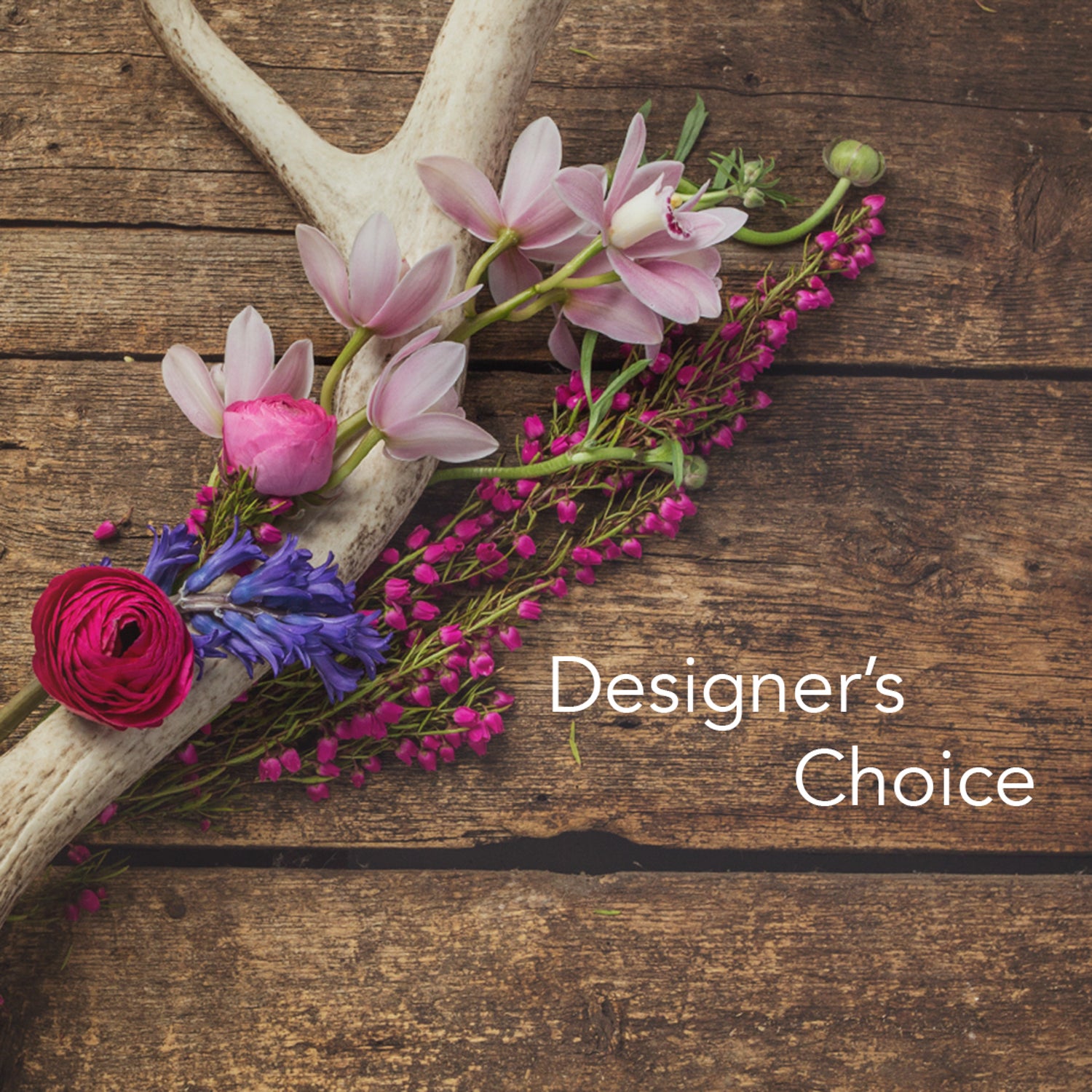 Designer's Choice
