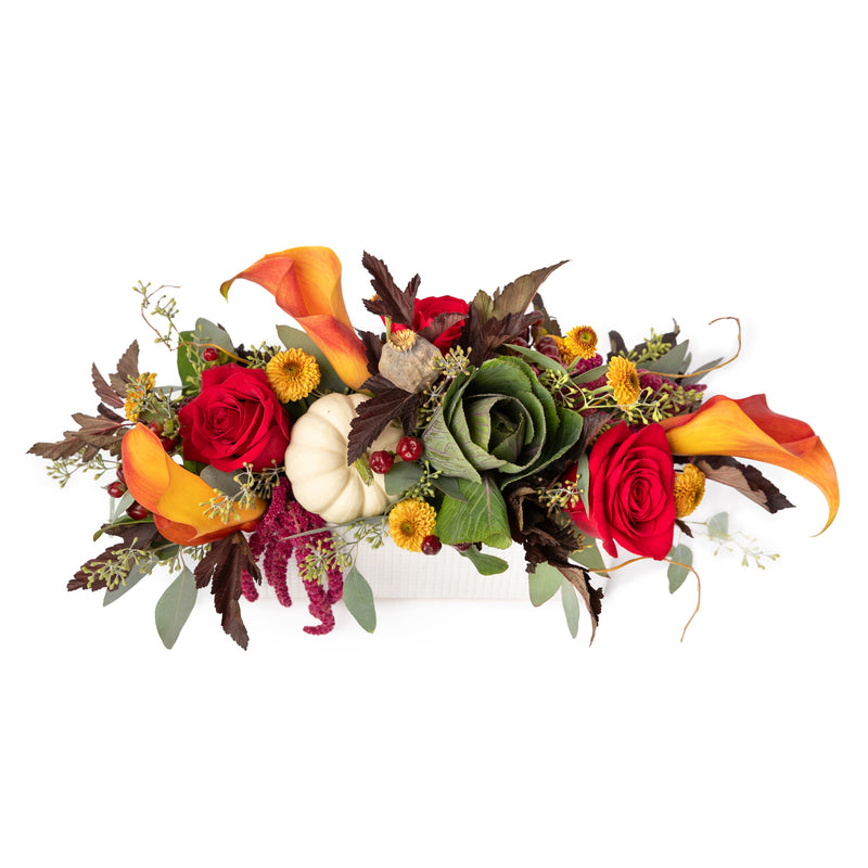 Harvest Abundance