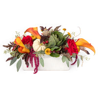 Harvest Abundance