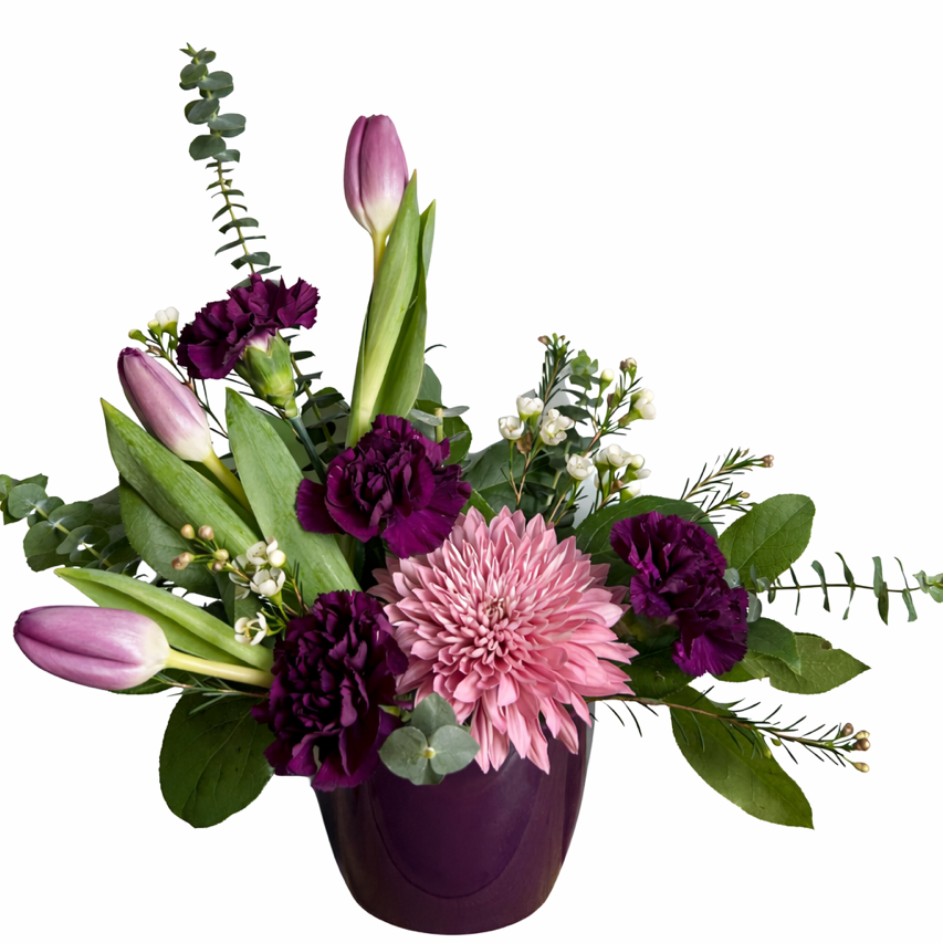 Moonlight Majestic *STOLLERY No Bounds