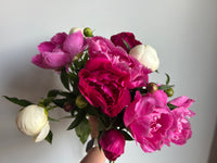 Locally Grown Peony Bundle 4 Week Subscription