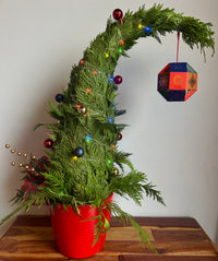 Jacek Chocolate - Large Whoville Tree