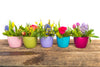a variety of five easter floral arrangements in a row