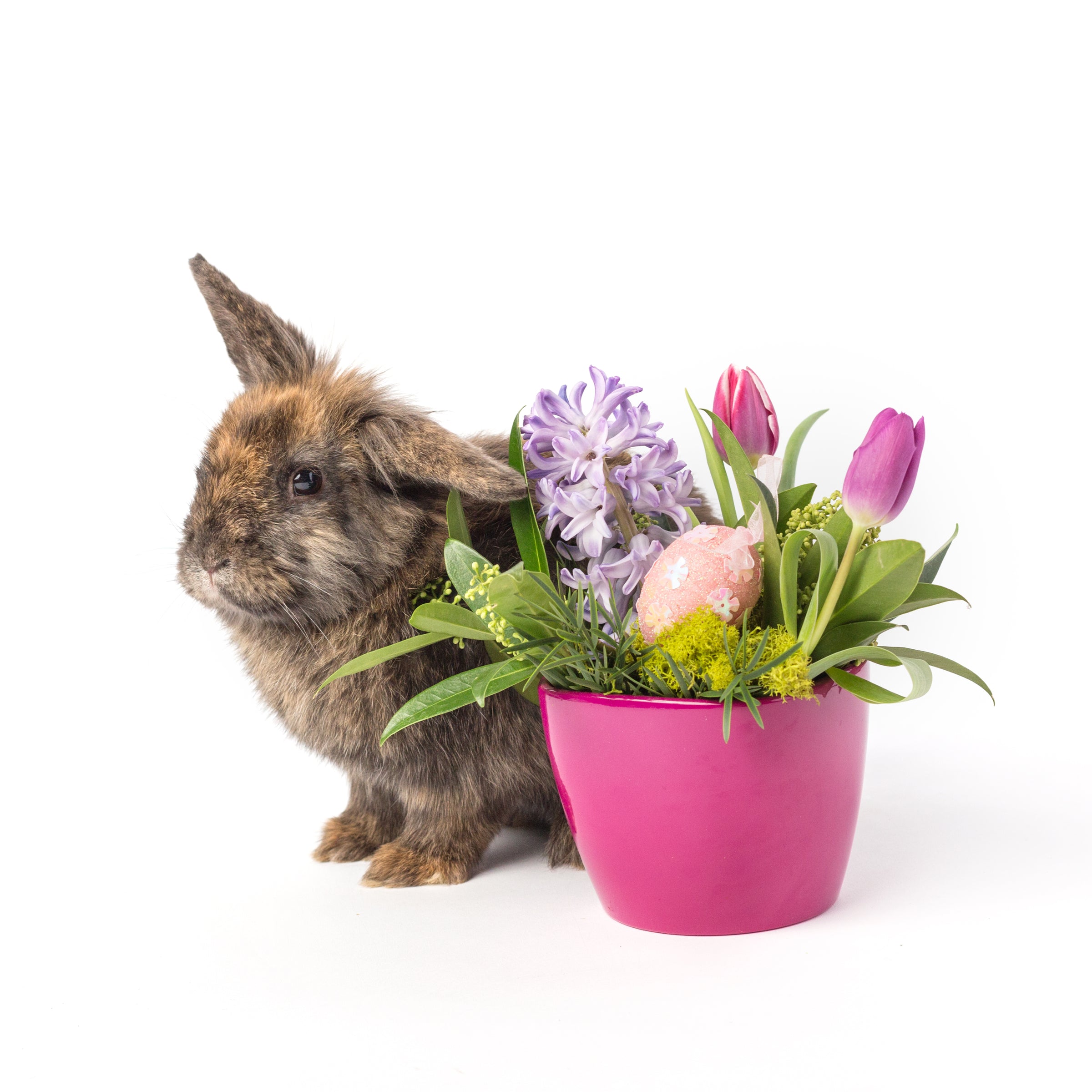 bunny with easter floral arrangement in a hot pink pot