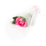 Single Rose Stems - Kings University Convocation